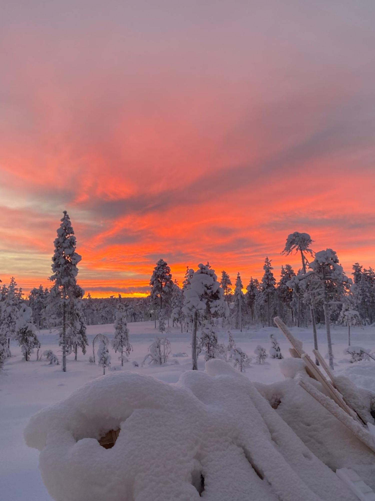 Arctic Moon Villa Rovaniemi Exterior foto